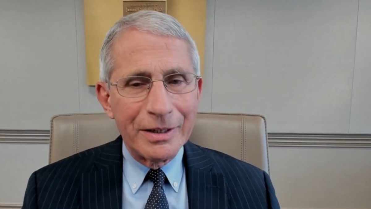 dr-anthony-fauci-senate-hearing